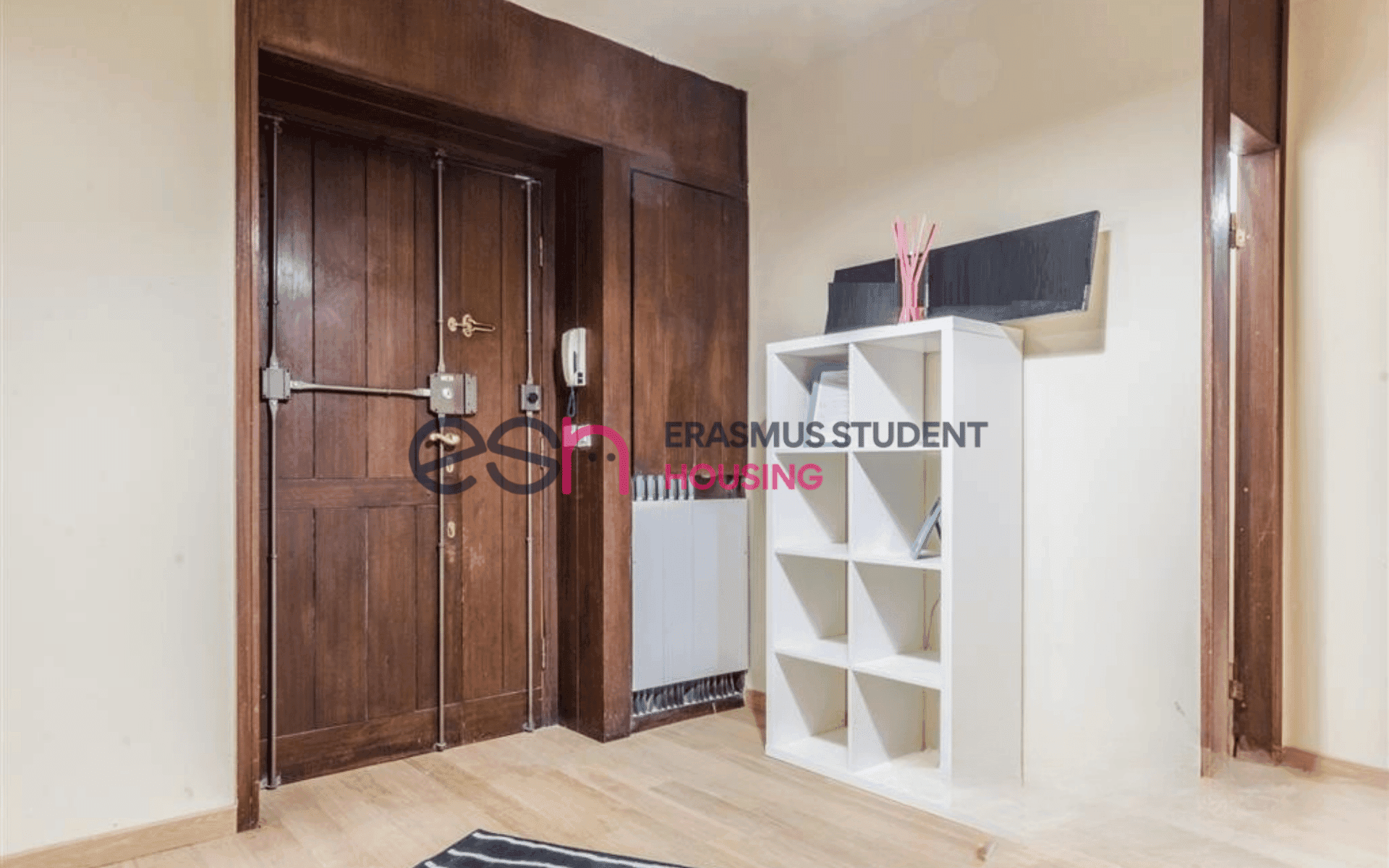 Habitación privada en Pisa photo 4